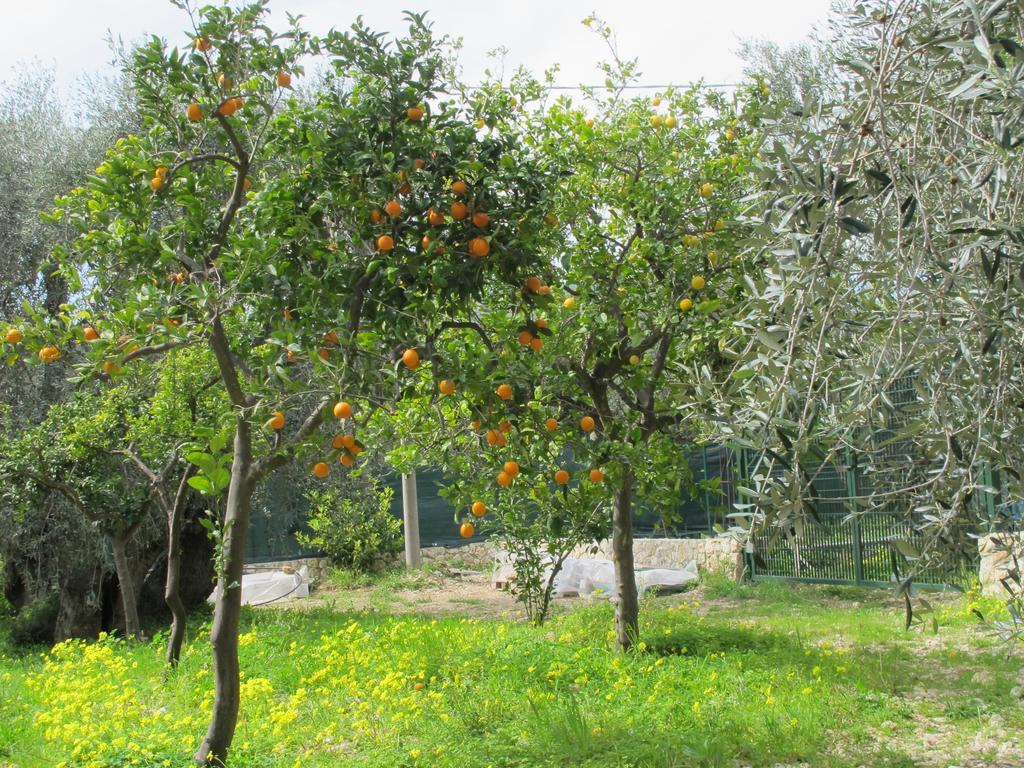 ماتيناتا Tenuta Santa Maria الغرفة الصورة