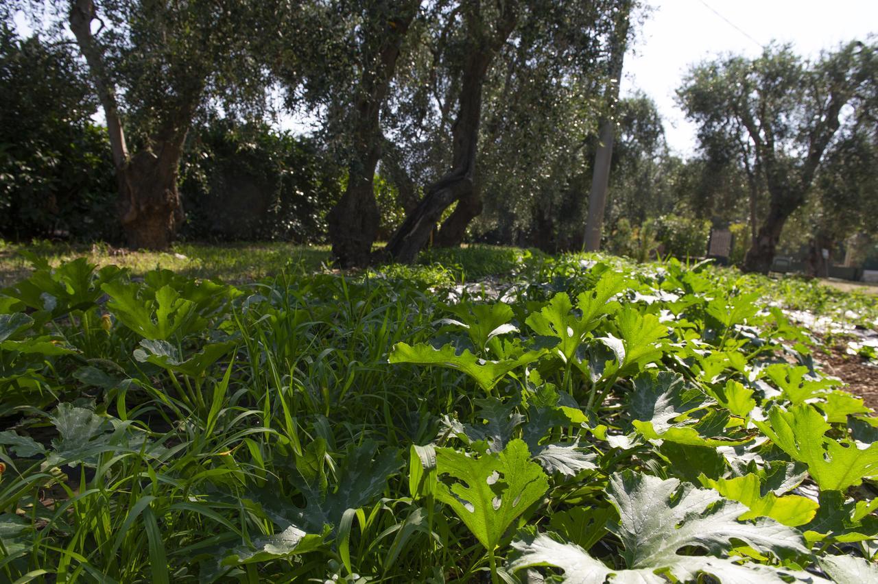 ماتيناتا Tenuta Santa Maria المظهر الخارجي الصورة