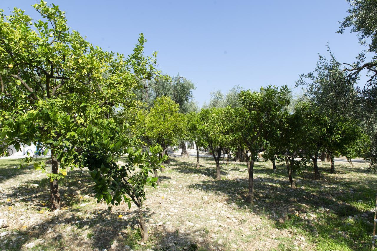 ماتيناتا Tenuta Santa Maria المظهر الخارجي الصورة